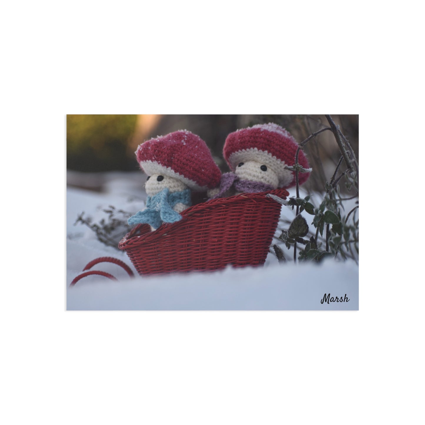 Snowy Slopes- Woolyshroom Collection Postcards