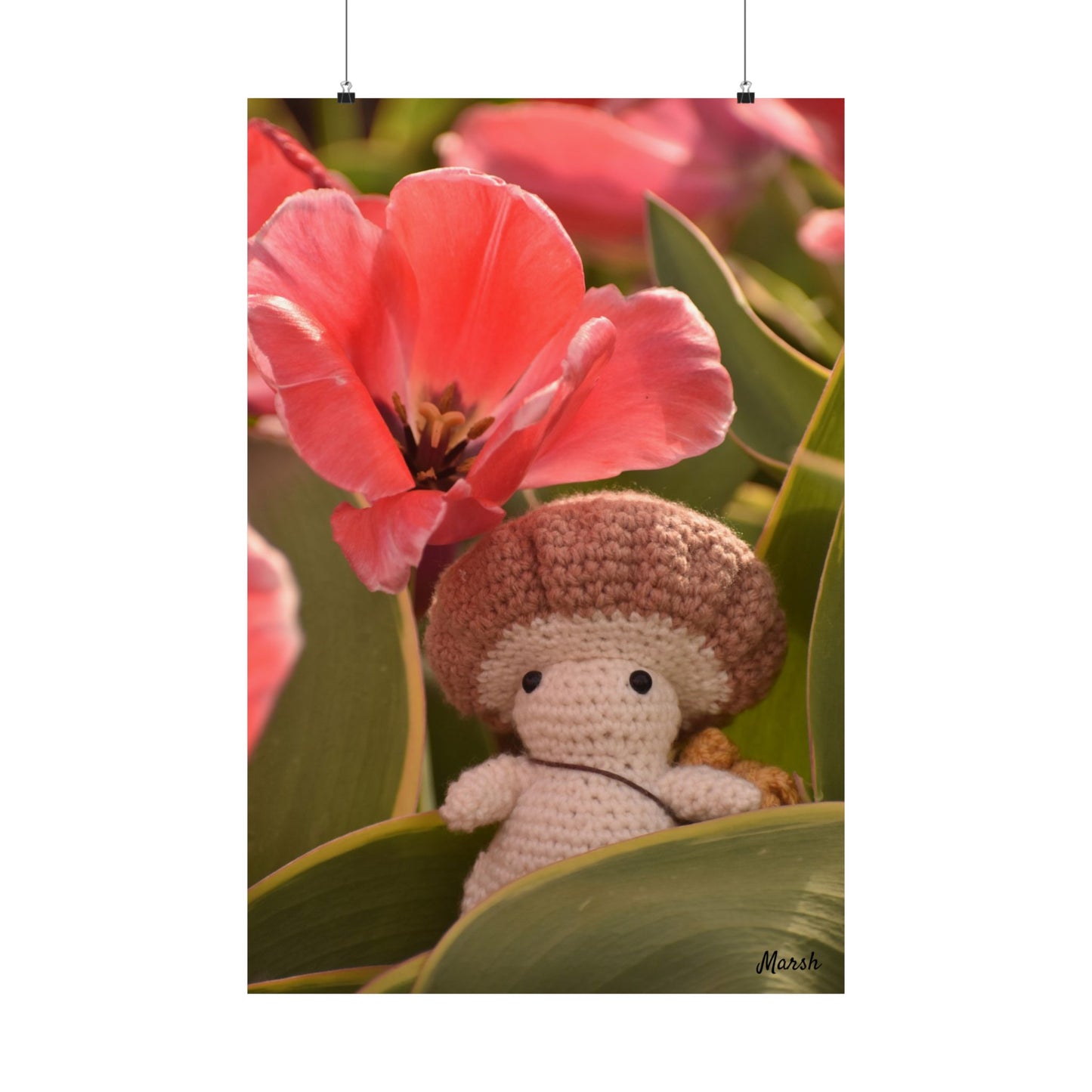 Spring Woolyshroom Matte Print
