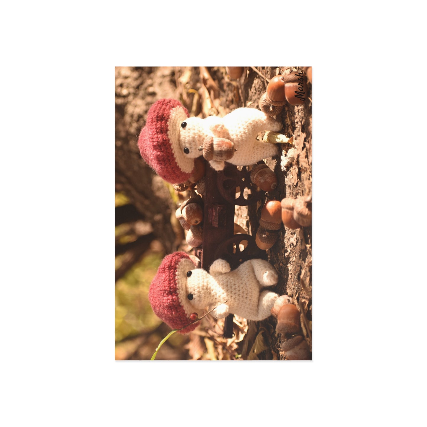 Collection Day- Woolyshroom Postcards