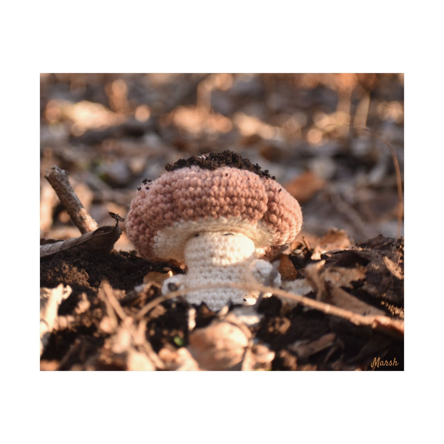 Rebirth Woolyshroom Satin Print