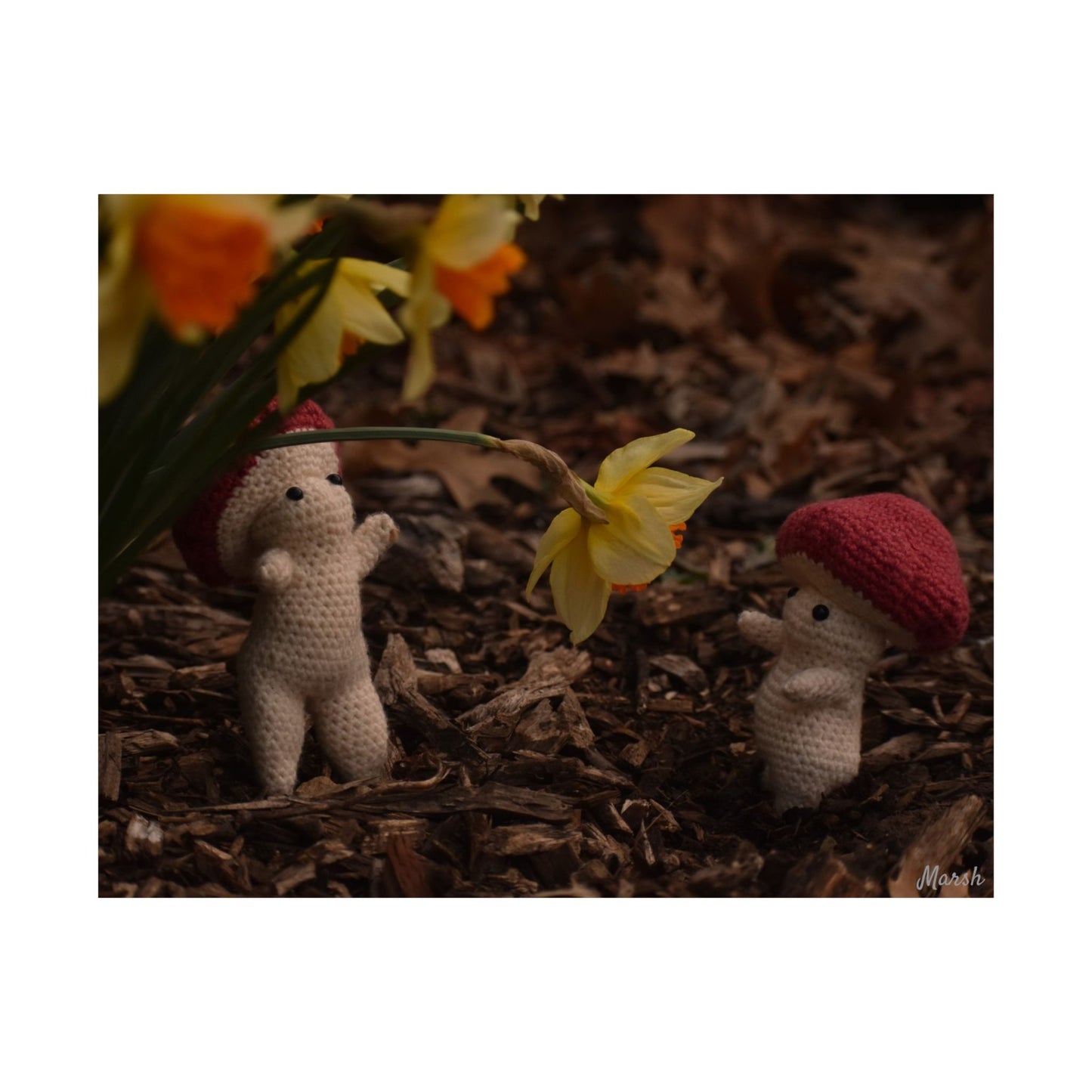 Shrooms and Blooms Woolyshroom Satin Print