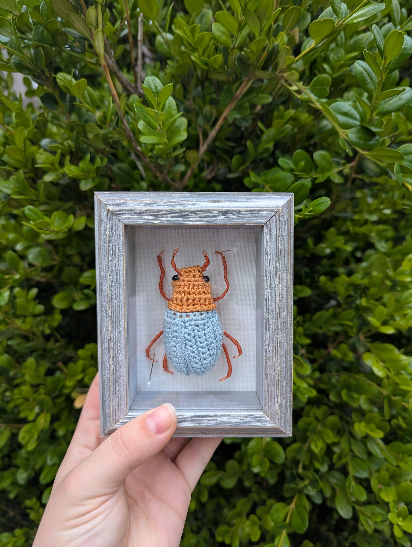 Crochet Pinned Bug: Beetle