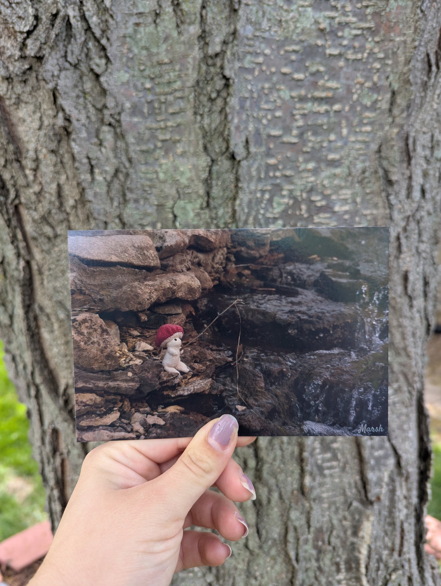 Fishing by the falls Card