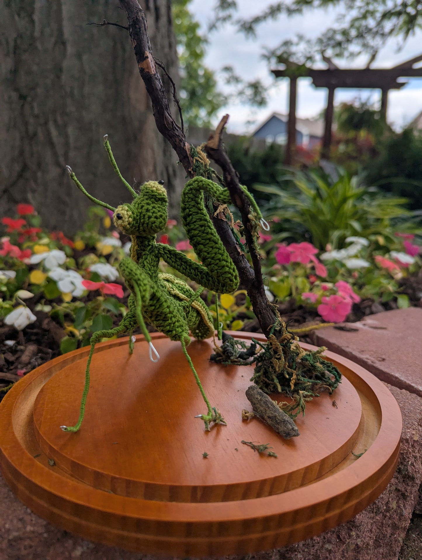 Crochet Praying mantis