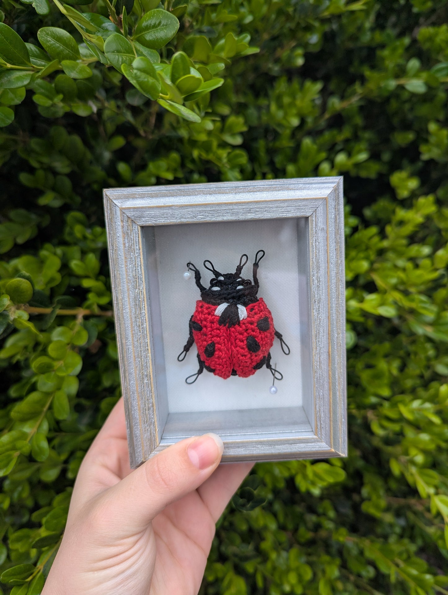 Crochet ladybug