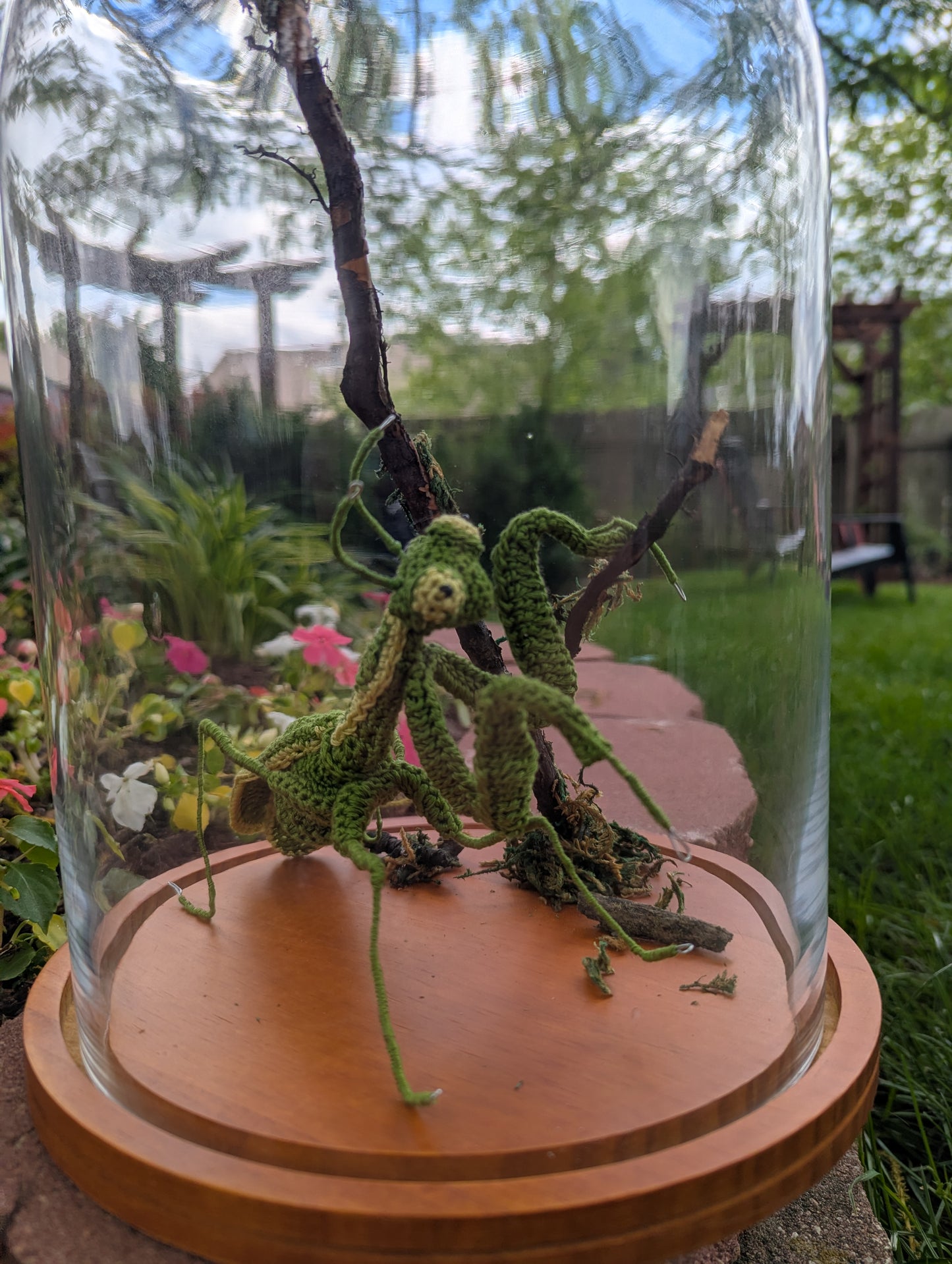 Crochet Praying mantis