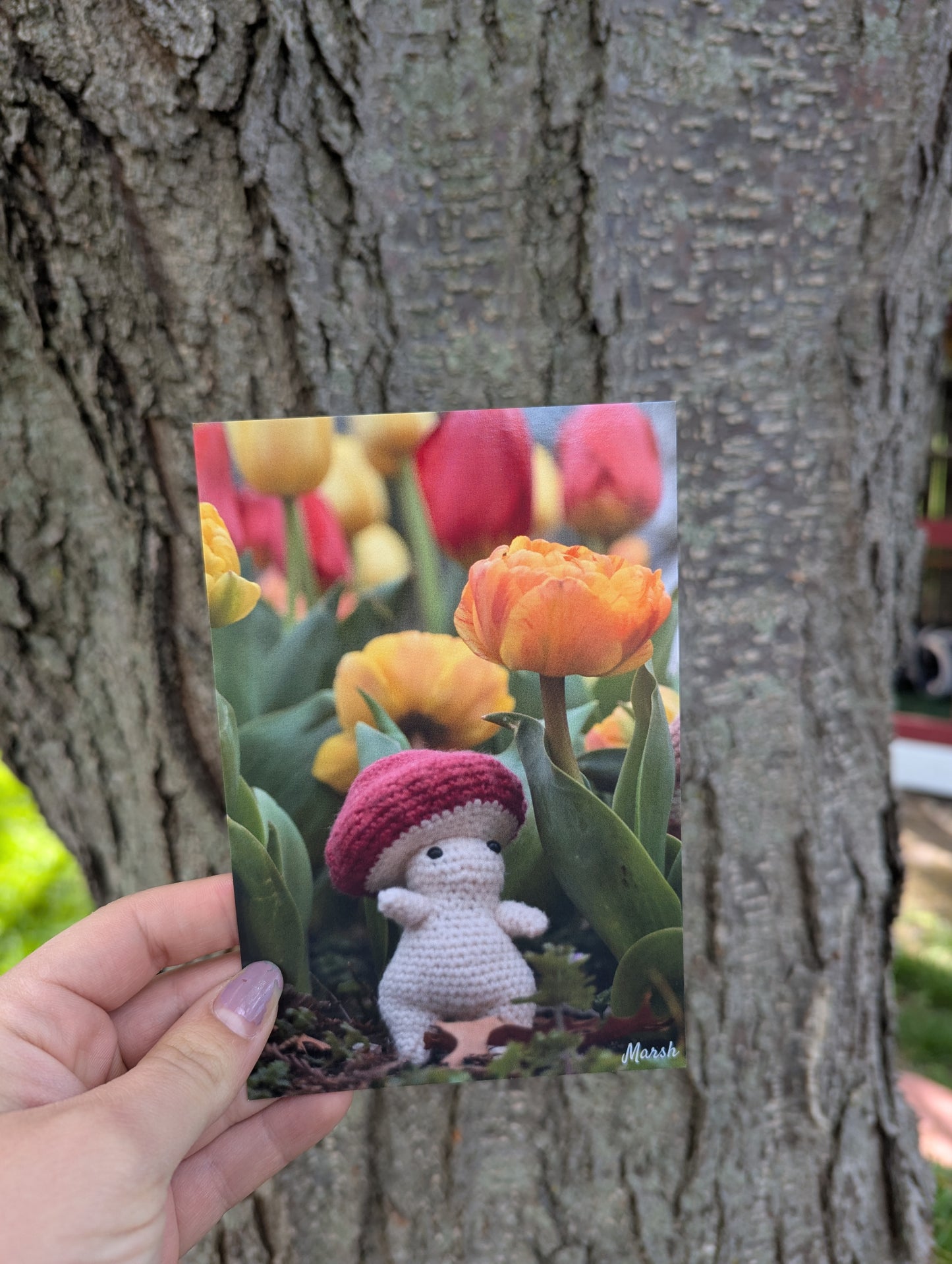 Tulip Tales Card