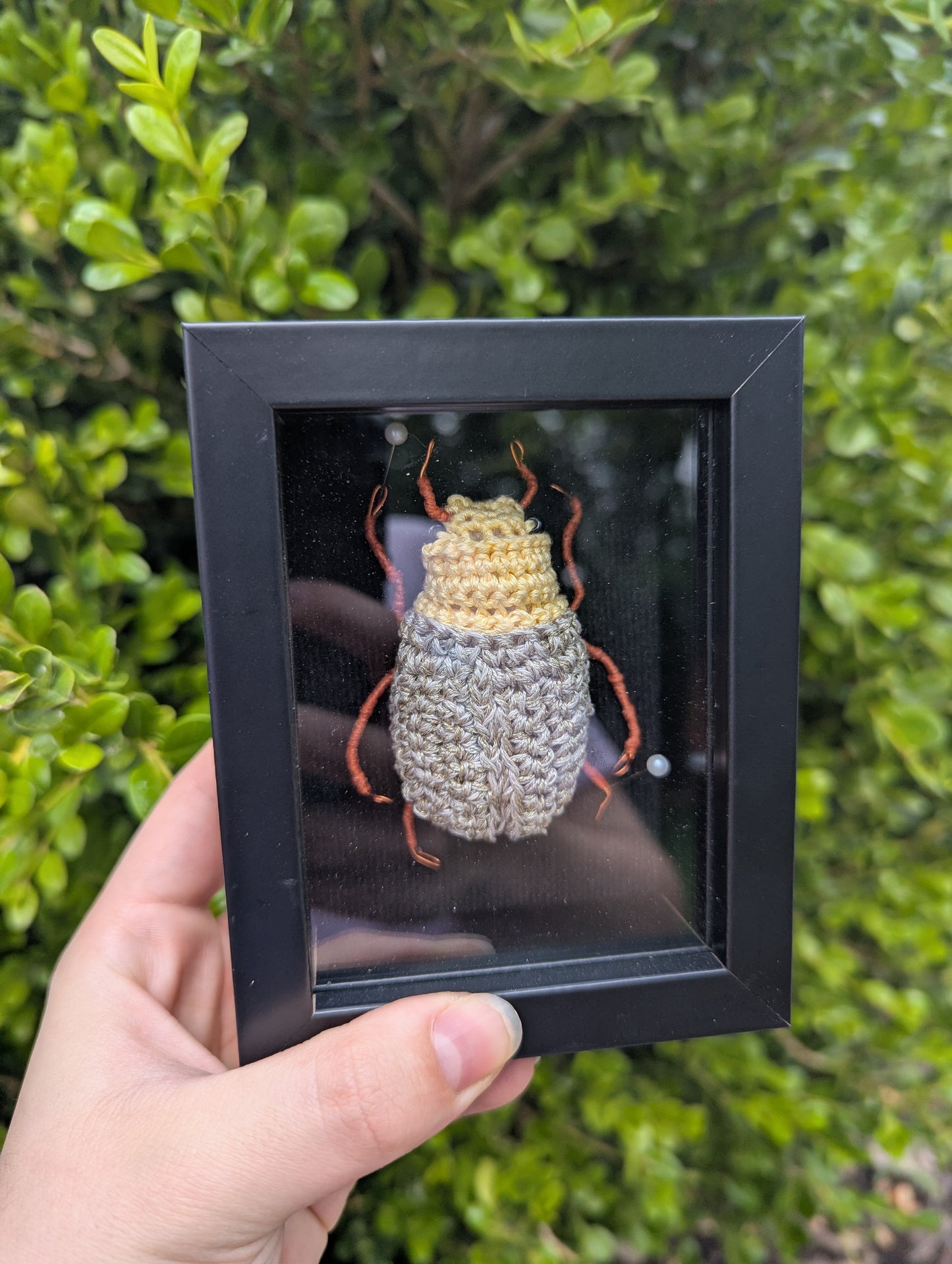Crochet jewel beetle