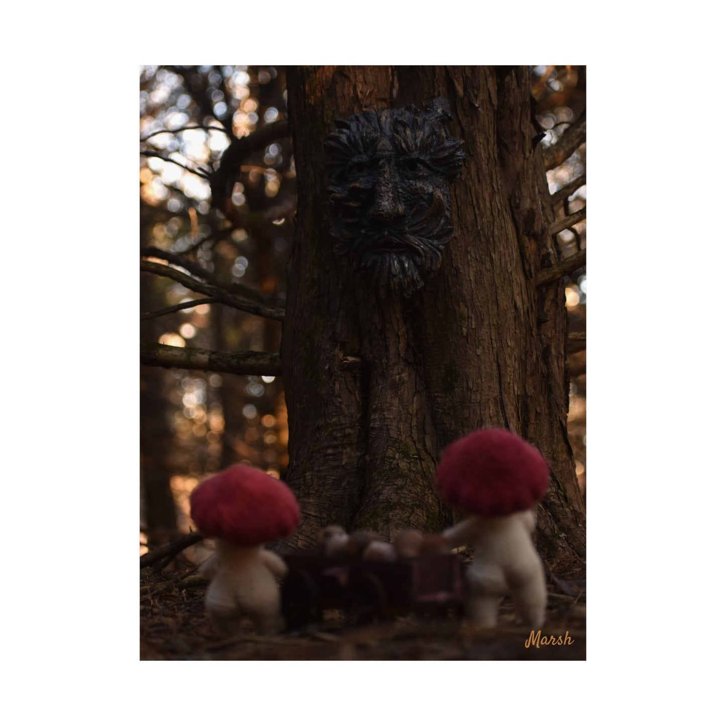 Delivery Woolyshroom Matte Print