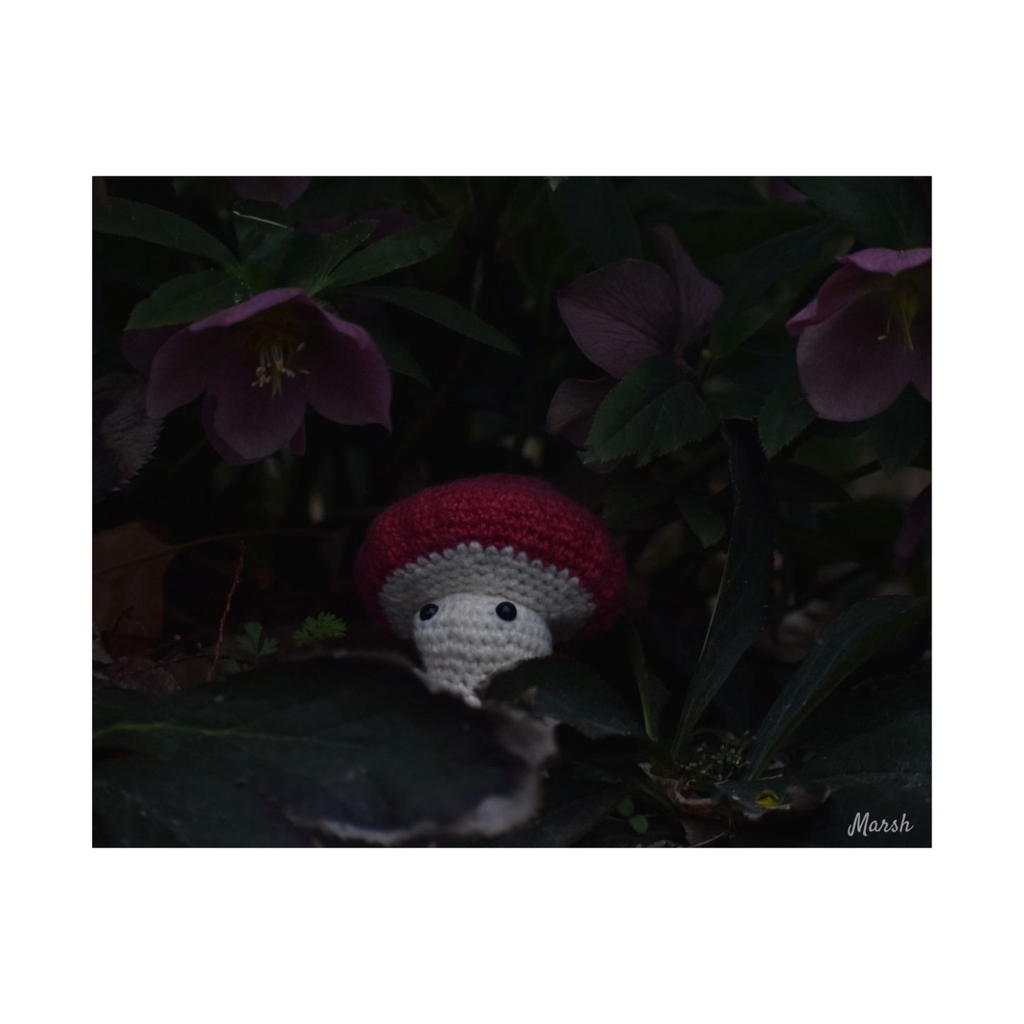 Hidden Havens Woolyshroom Satin Print