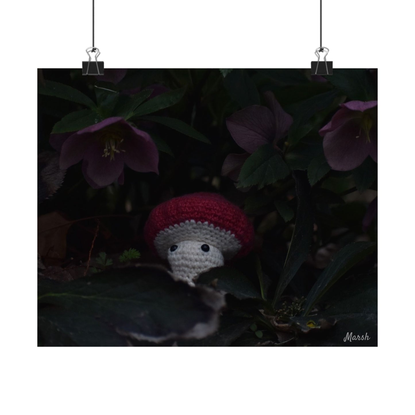 Hidden Havens Woolyshroom Satin Print