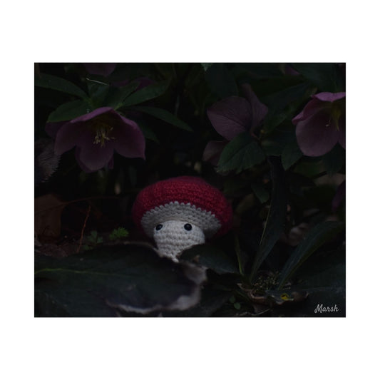 Hidden Havens Woolyshroom Satin Print