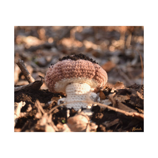 Rebirth Woolyshroom Satin Print