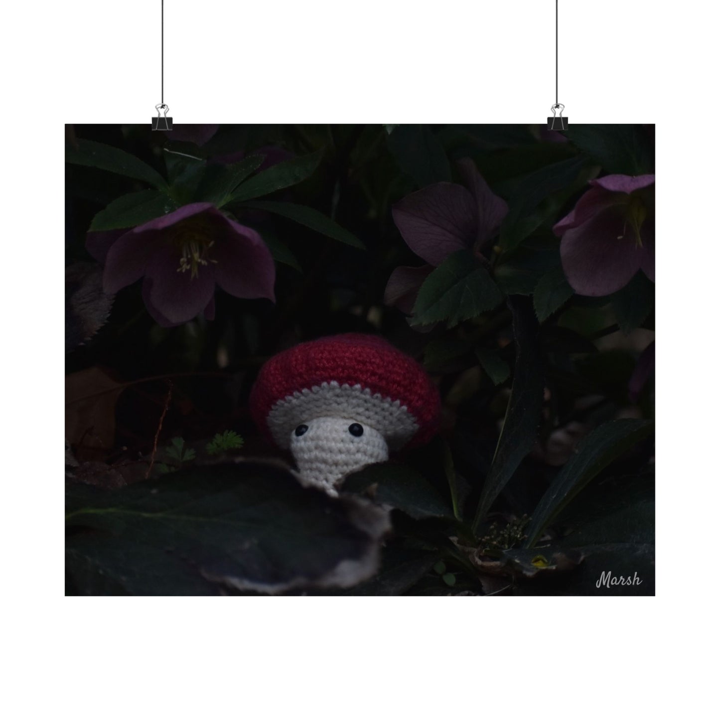 Hidden Havens Woolyshroom Satin Print