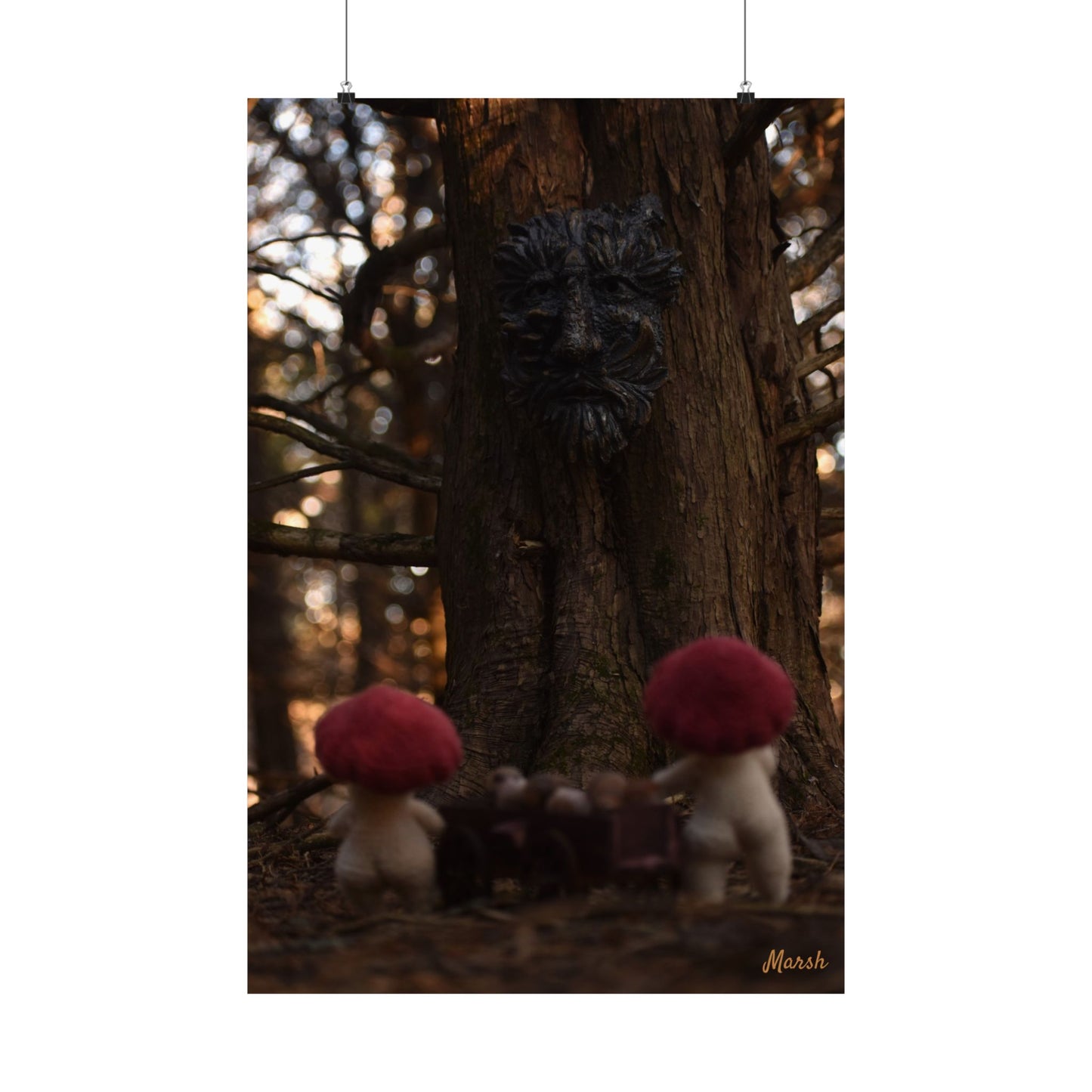 Delivery Woolyshroom Matte Print