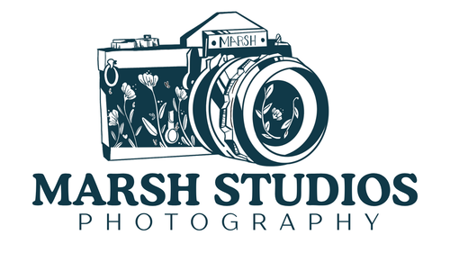 Marsh Studios 