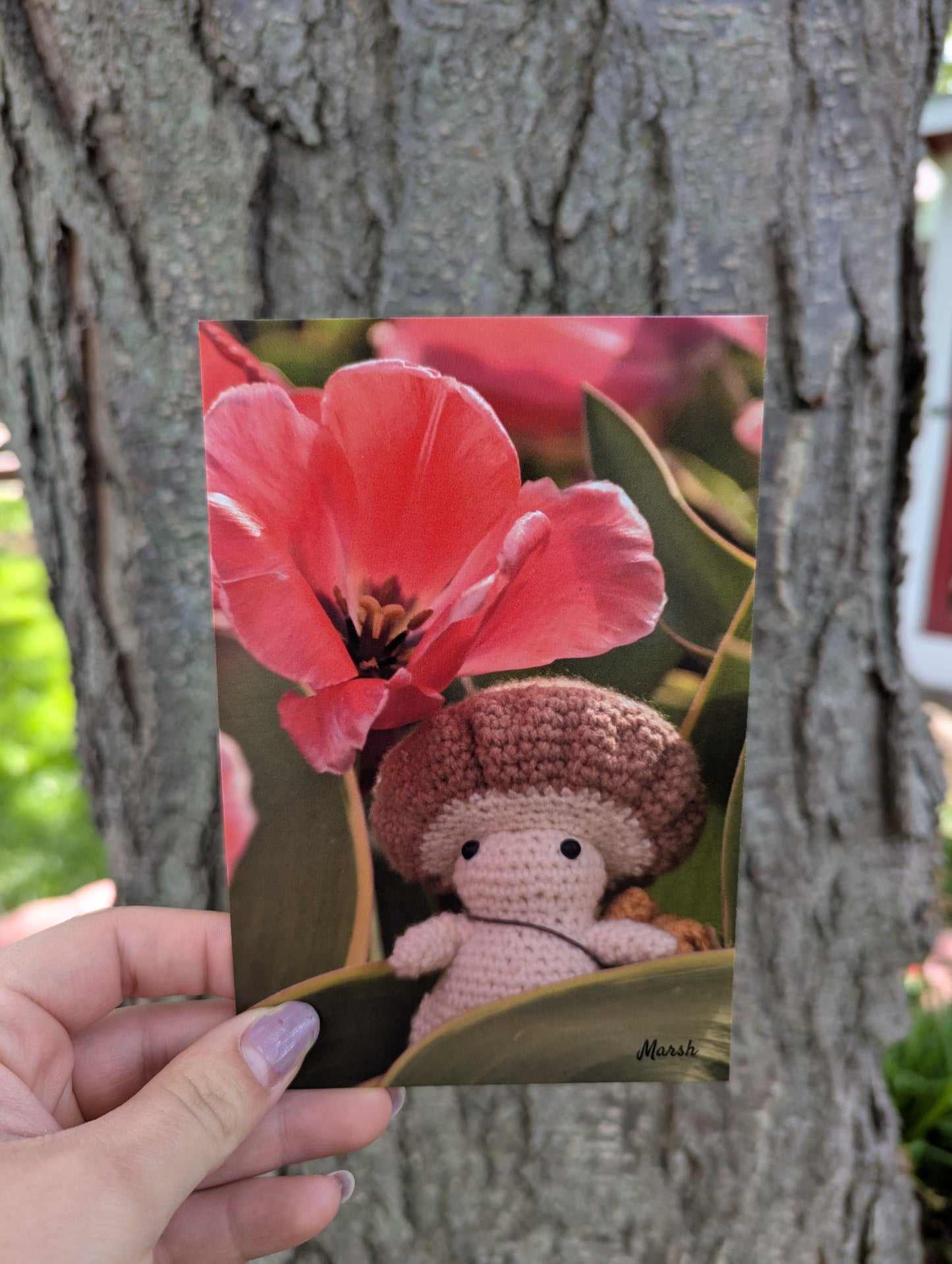 Spring Blooms Card